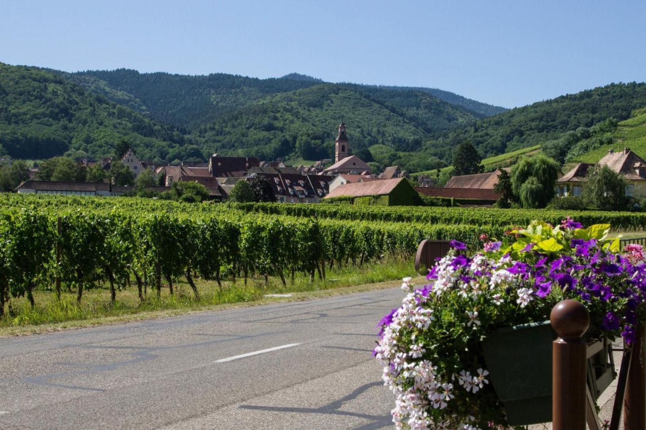 Hotel Berceau Du Vigneron Turckheim Exterior photo